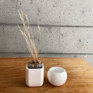 Bundle of 2 small vessels/vases